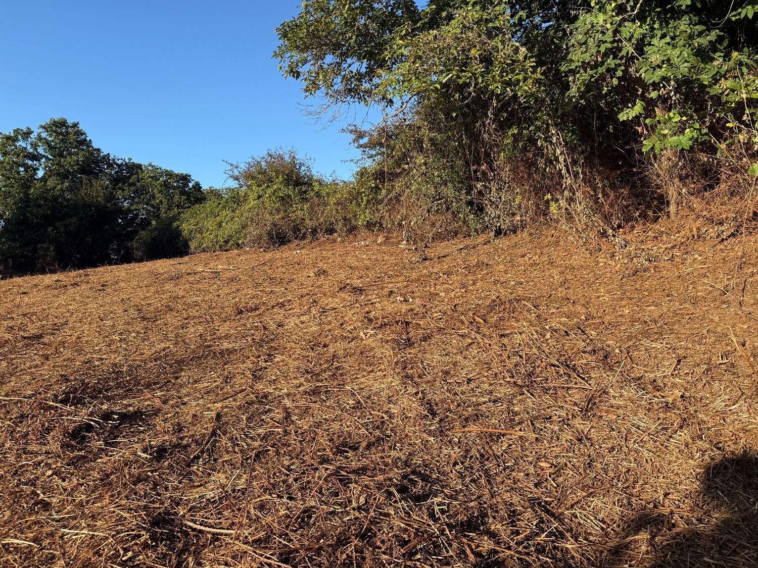 Fincas y solares-Venta-La Matanza de Acentejo-1975265-Foto-18