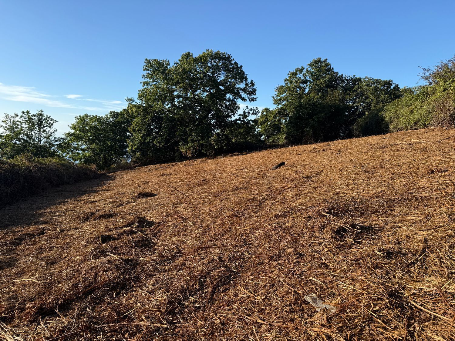 Fincas y solares-Venta-La Matanza de Acentejo-1975265-Foto-17