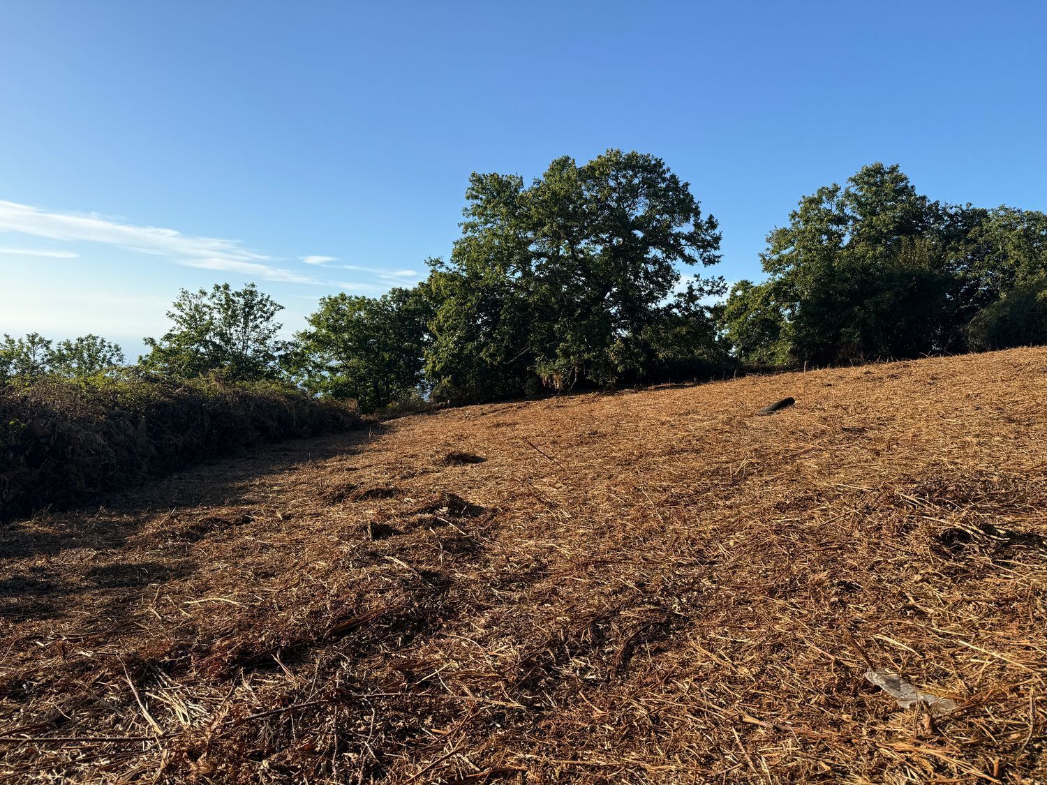 Fincas y solares-Venta-La Matanza de Acentejo-1975265-Foto-19