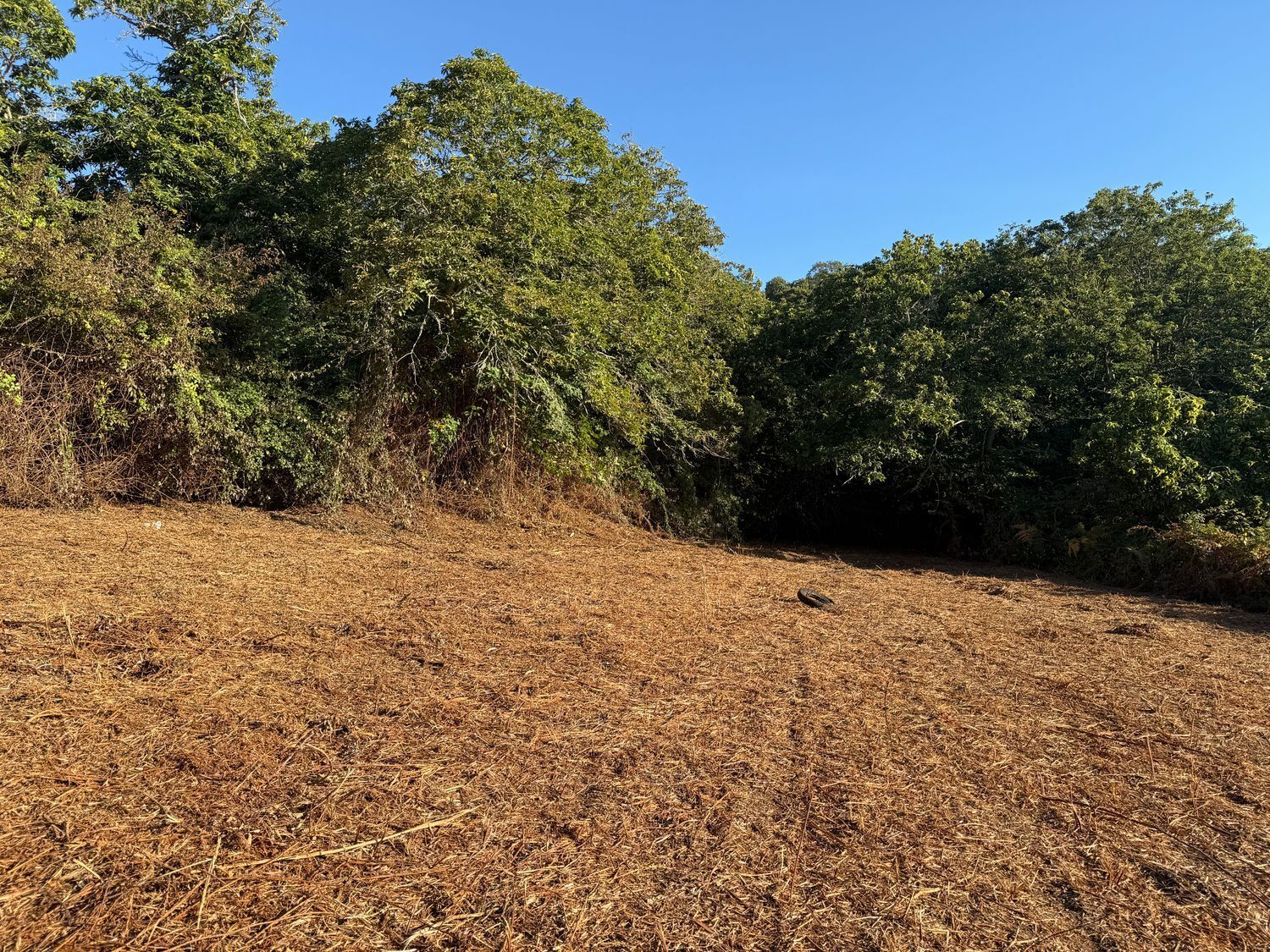 Fincas y solares-Venta-La Matanza de Acentejo-1975265-Foto-20