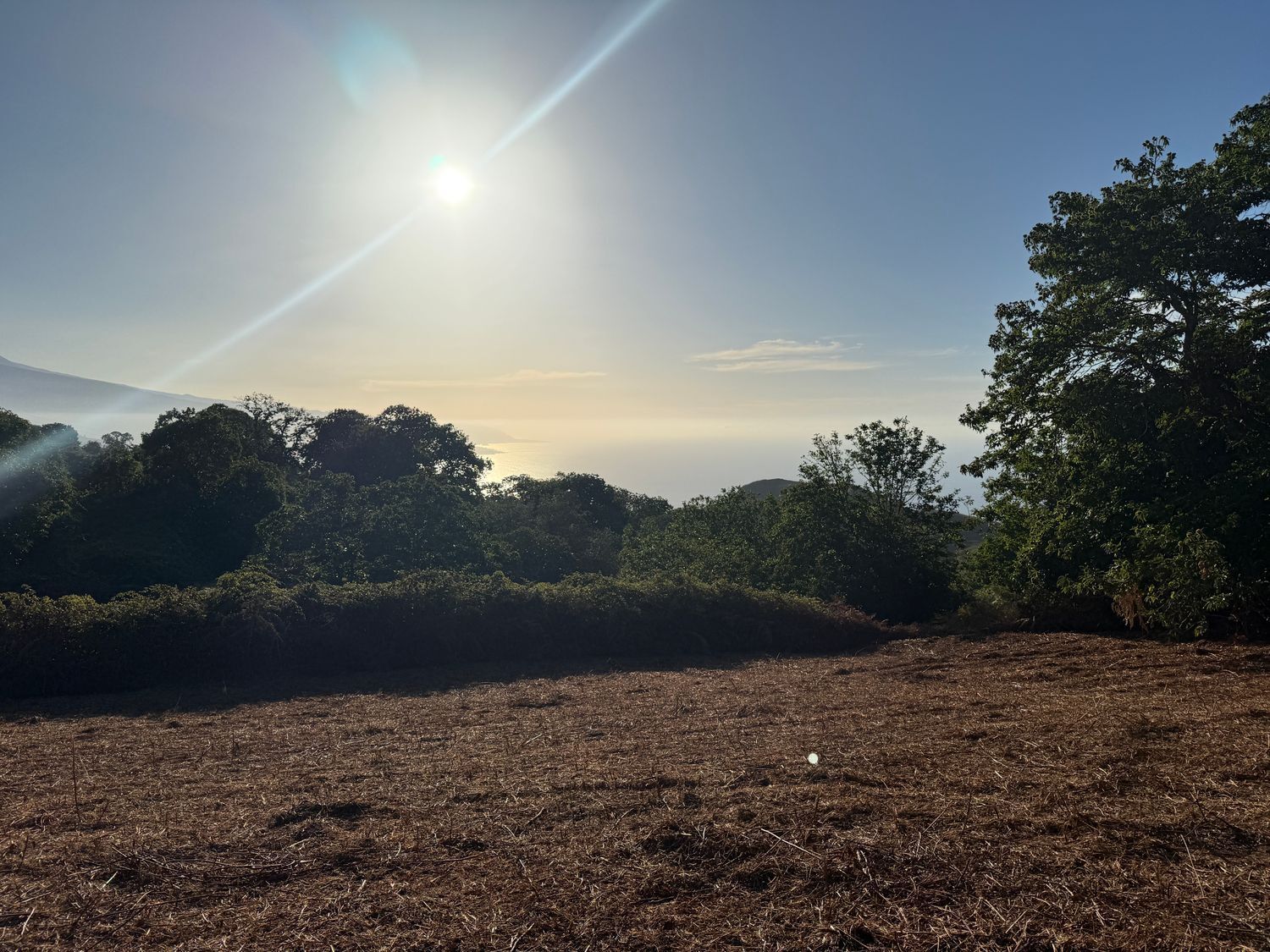 Fincas y solares-Venta-La Matanza de Acentejo-1975265-Foto-16