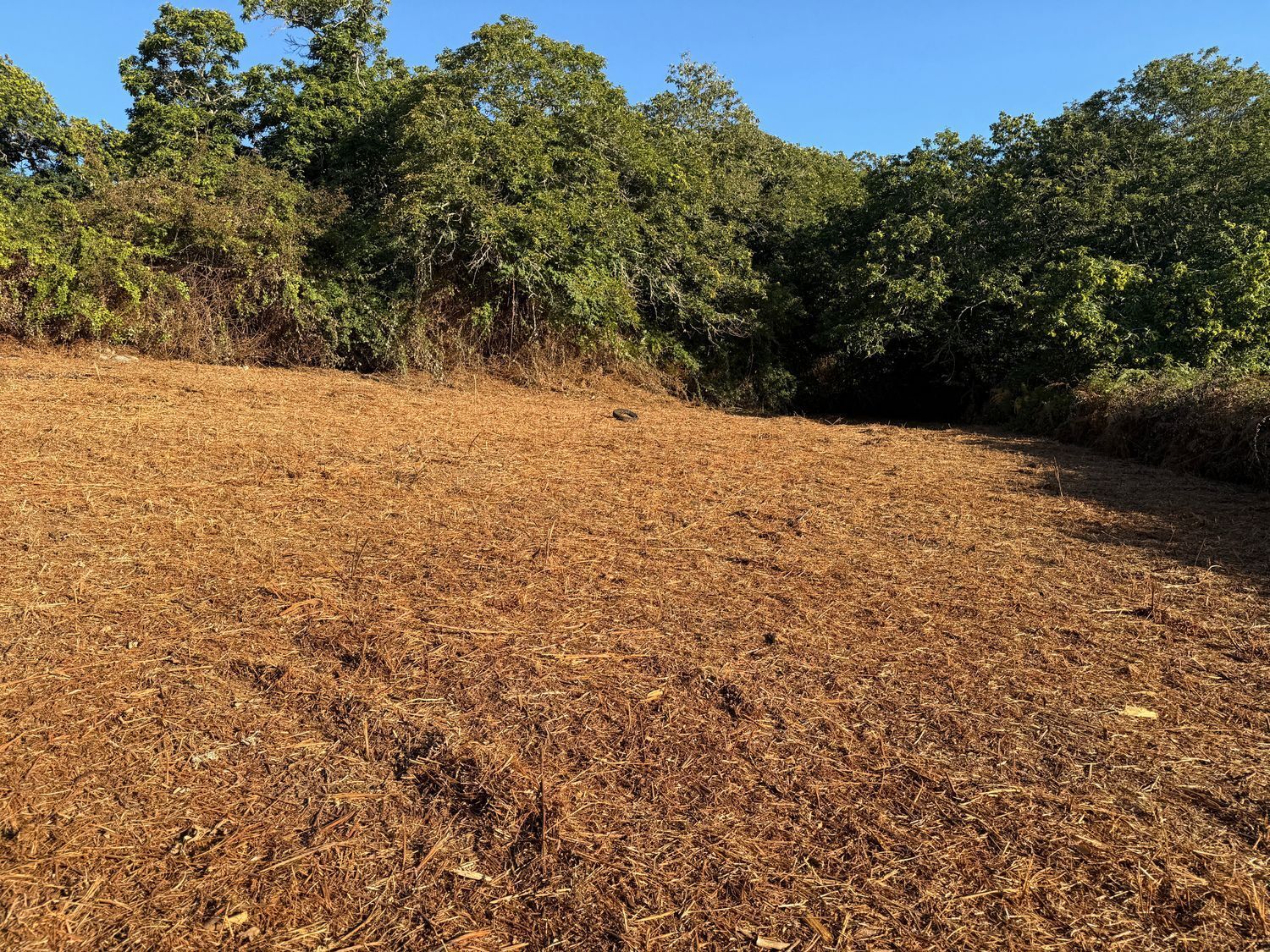 Fincas y solares-Venta-La Matanza de Acentejo-1975265-Foto-21
