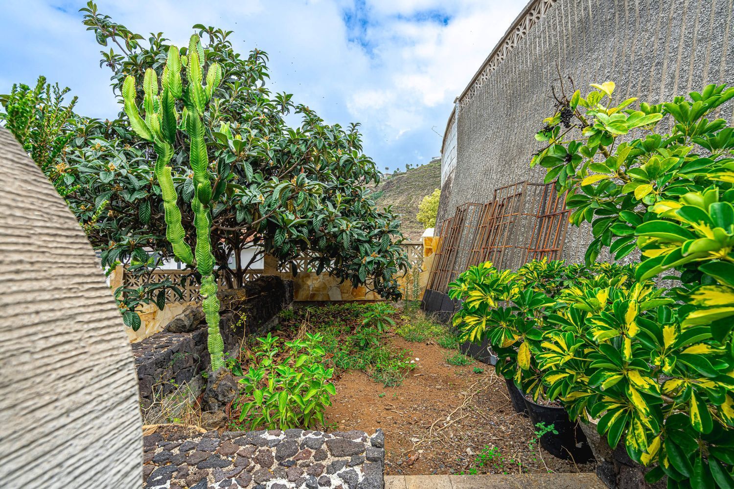 Casas o chalets-Venta-El Sauzal-1975274-Foto-16