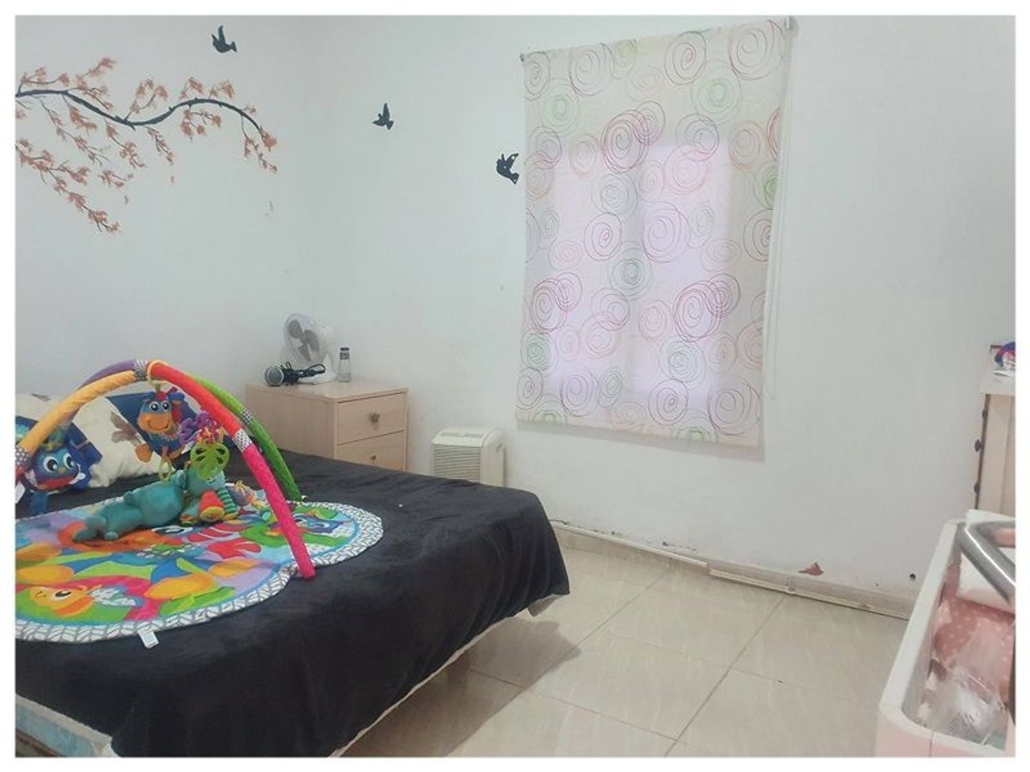 Pisos-Venta-Santa Cruz de Tenerife-1975277-Foto-6