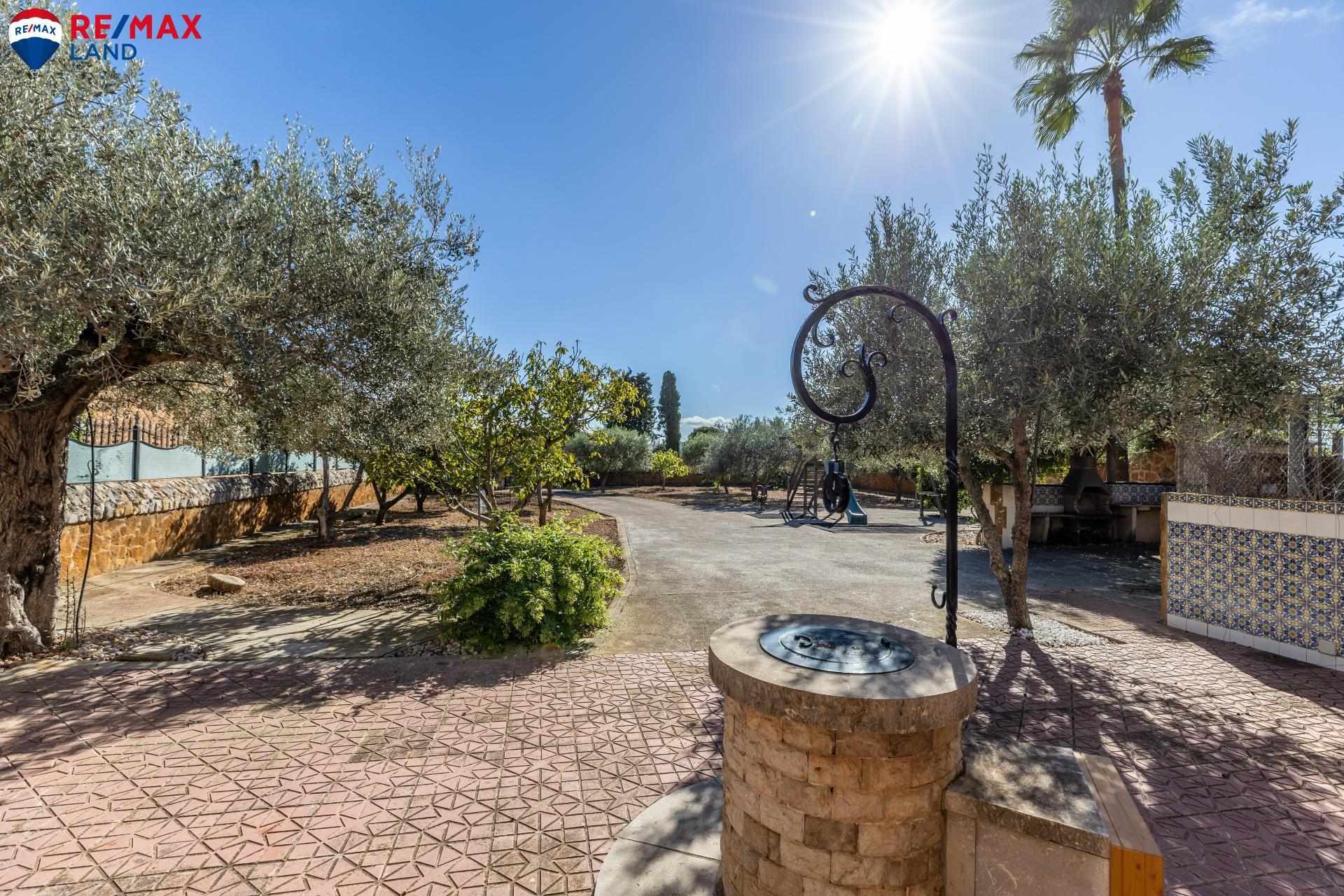 Casas o chalets-Venta-Santa MarÃ­a del CamÃ­-1975173-Foto-26