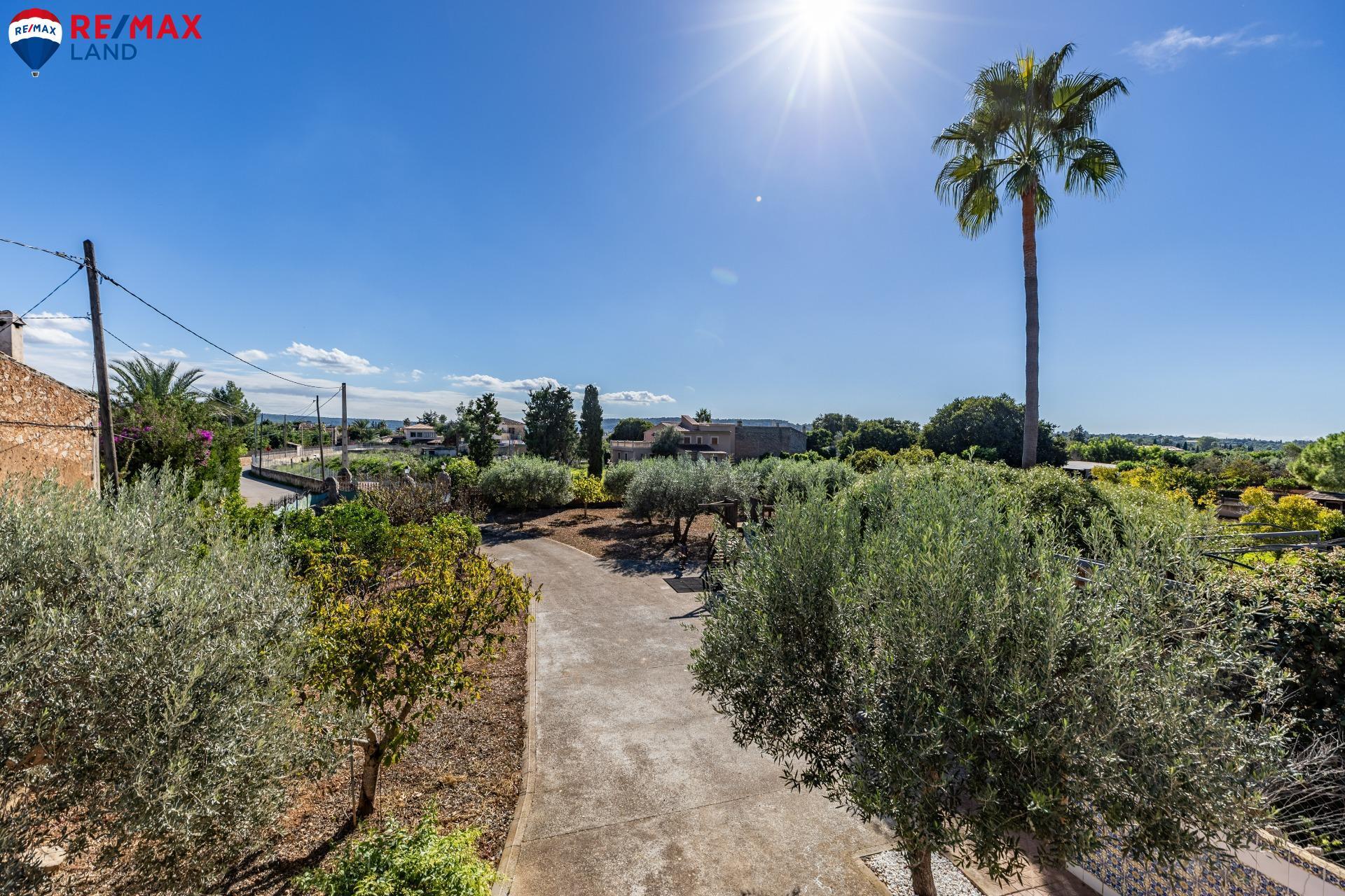 Casas o chalets-Venta-Santa MarÃ­a del CamÃ­-1975173-Foto-31