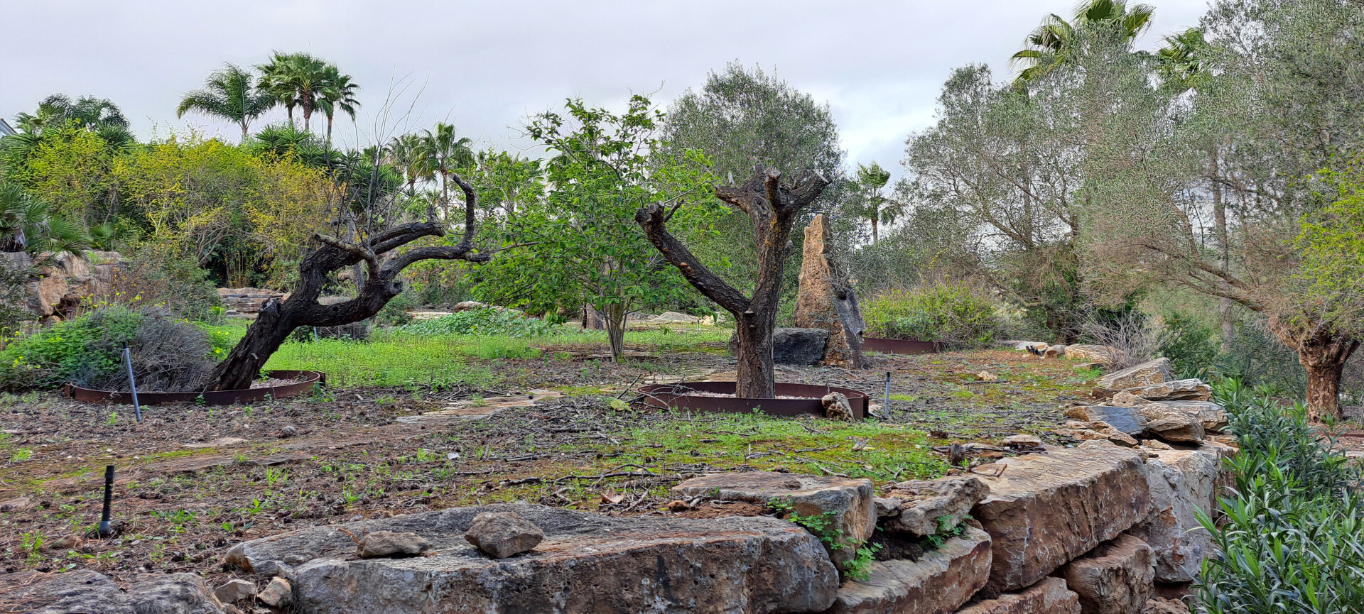 Suelo en venta, Sotogrande, CÃ¡diz, CÃ¡diz