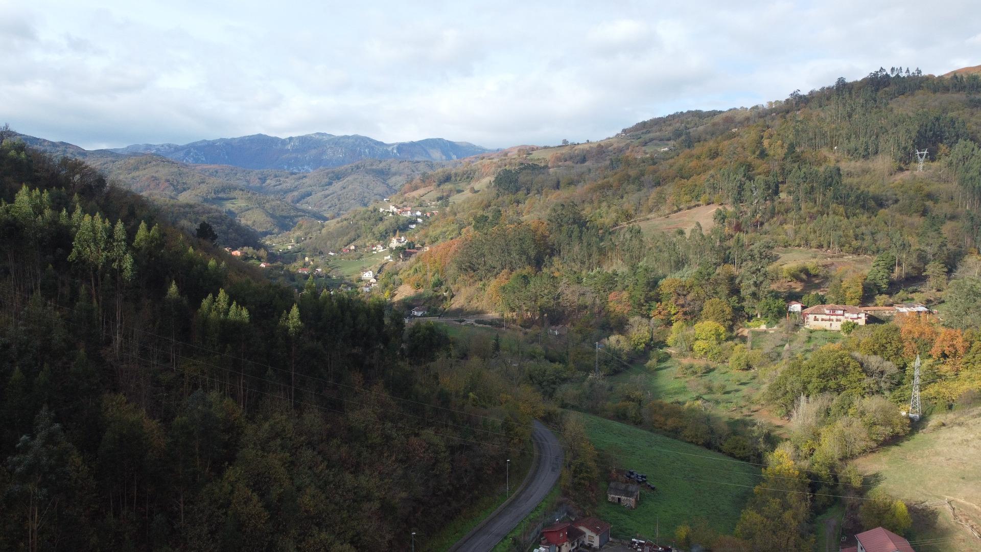 Pisos-Venta-Mieres-1974148-Foto-3