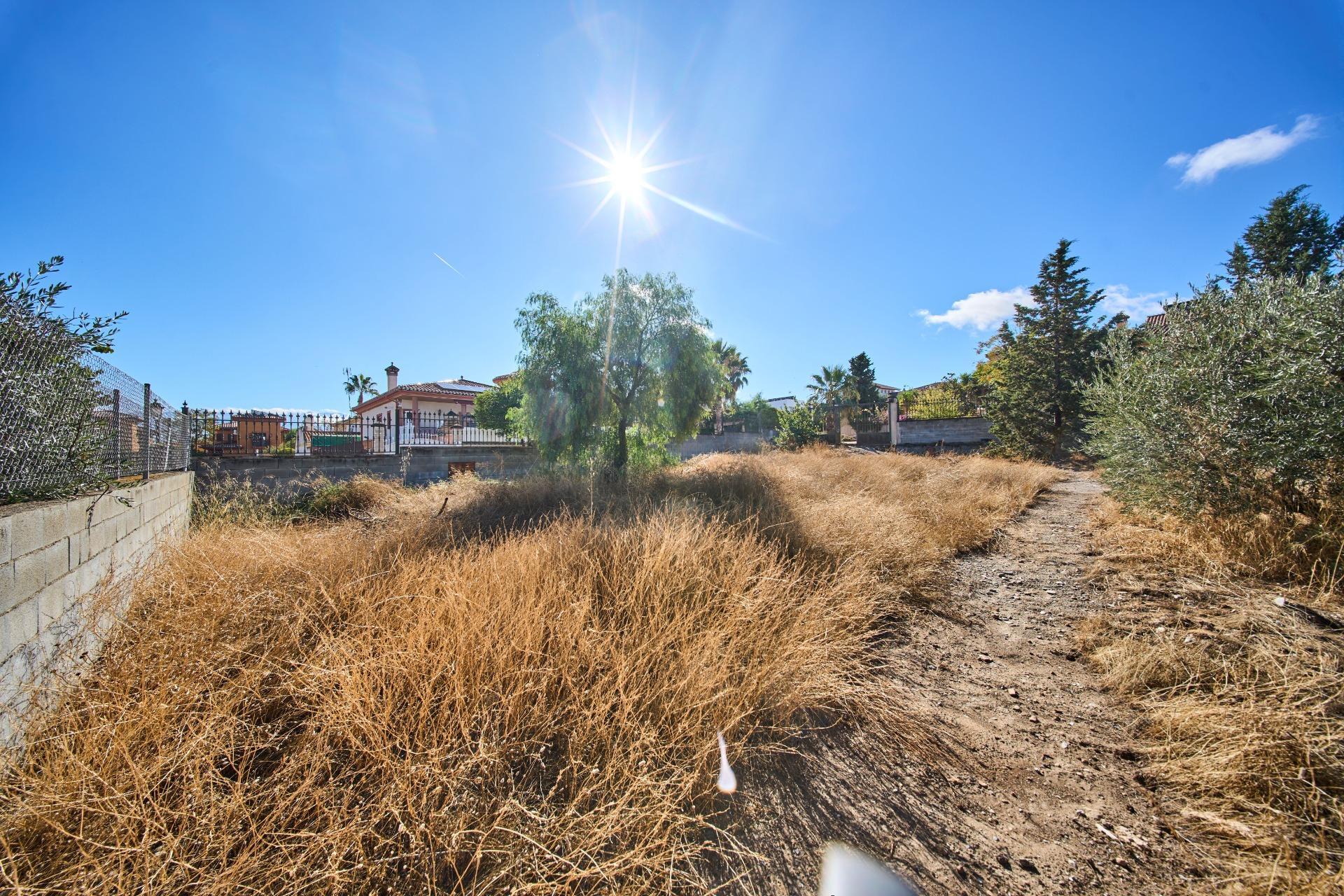 Fincas y solares-Venta-Vegas del Genil-1942906-Foto-4