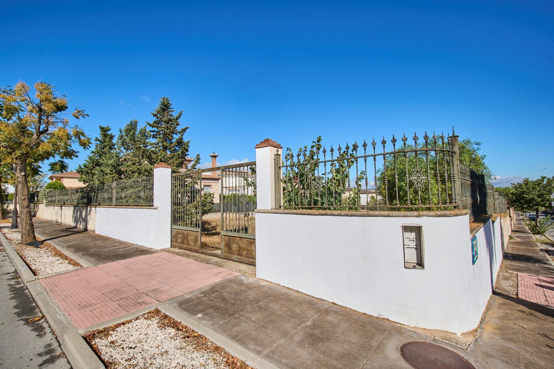 Fincas y solares-Venta-Vegas del Genil-1942906-Foto-6