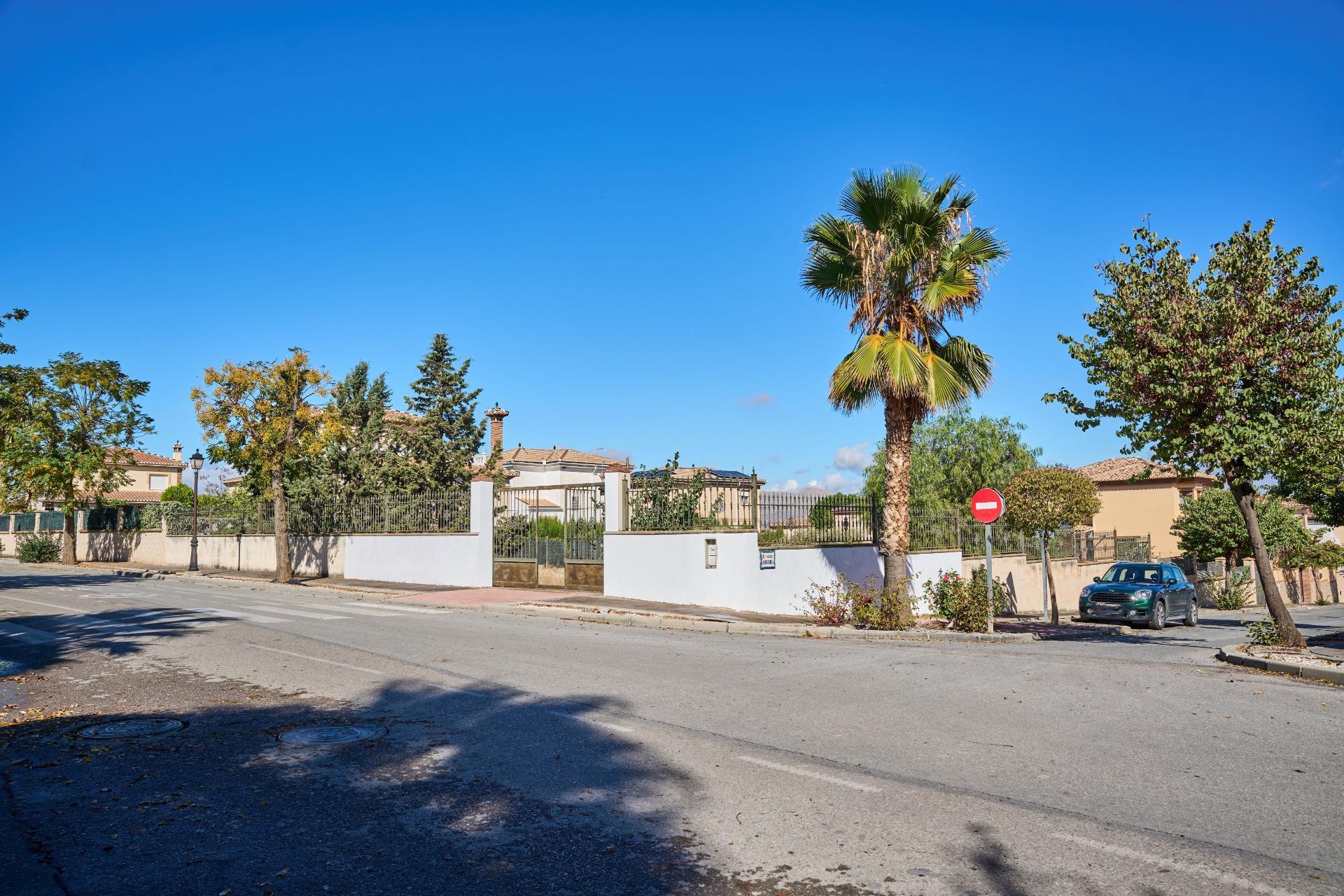 Fincas y solares-Venta-Vegas del Genil-1942906-Foto-8