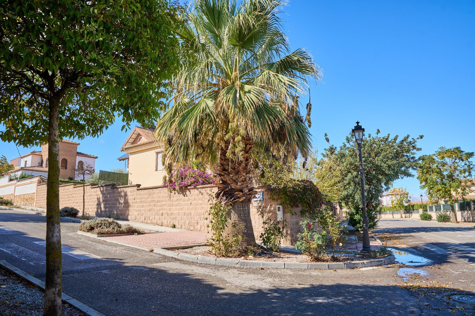 Fincas y solares-Venta-Vegas del Genil-1942906-Foto-9