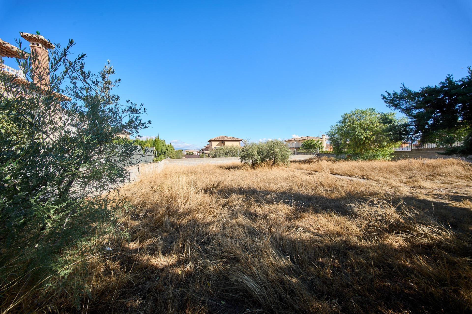 Fincas y solares-Venta-Vegas del Genil-1942903-Foto-5