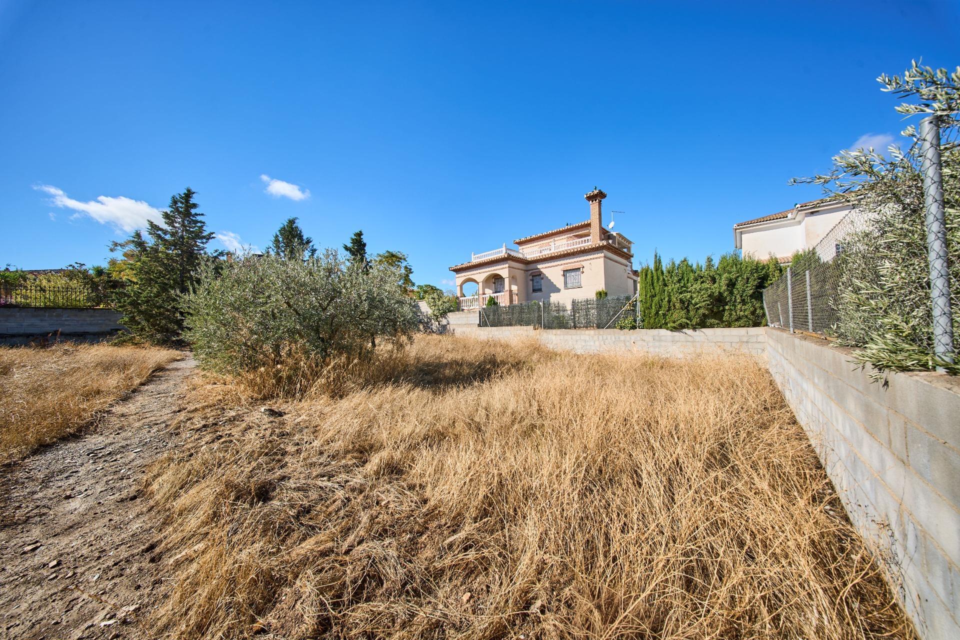 Fincas y solares-Venta-Vegas del Genil-1942903-Foto-6