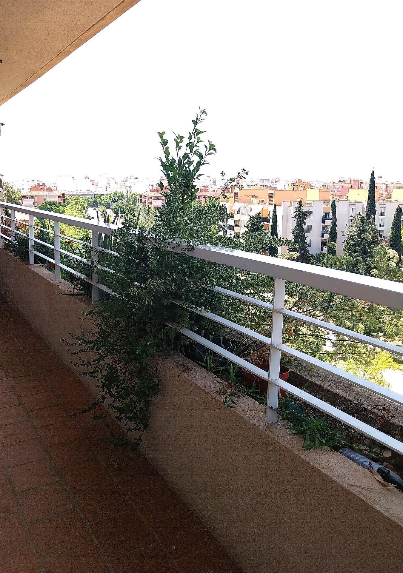 Pisos-Venta-Palma de Mallorca-1731763-Foto-11