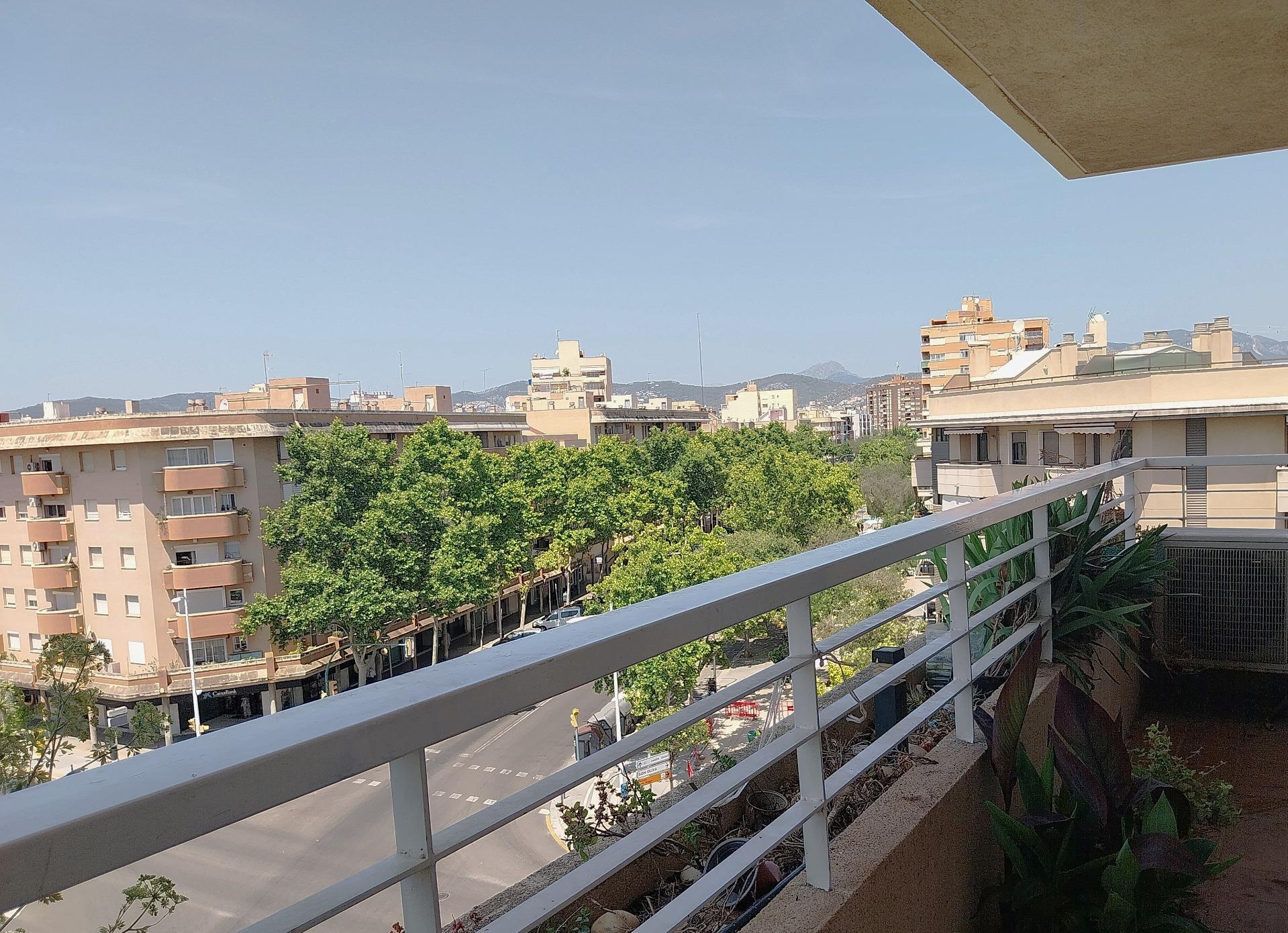 Pisos-Venta-Palma de Mallorca-1731763-Foto-12
