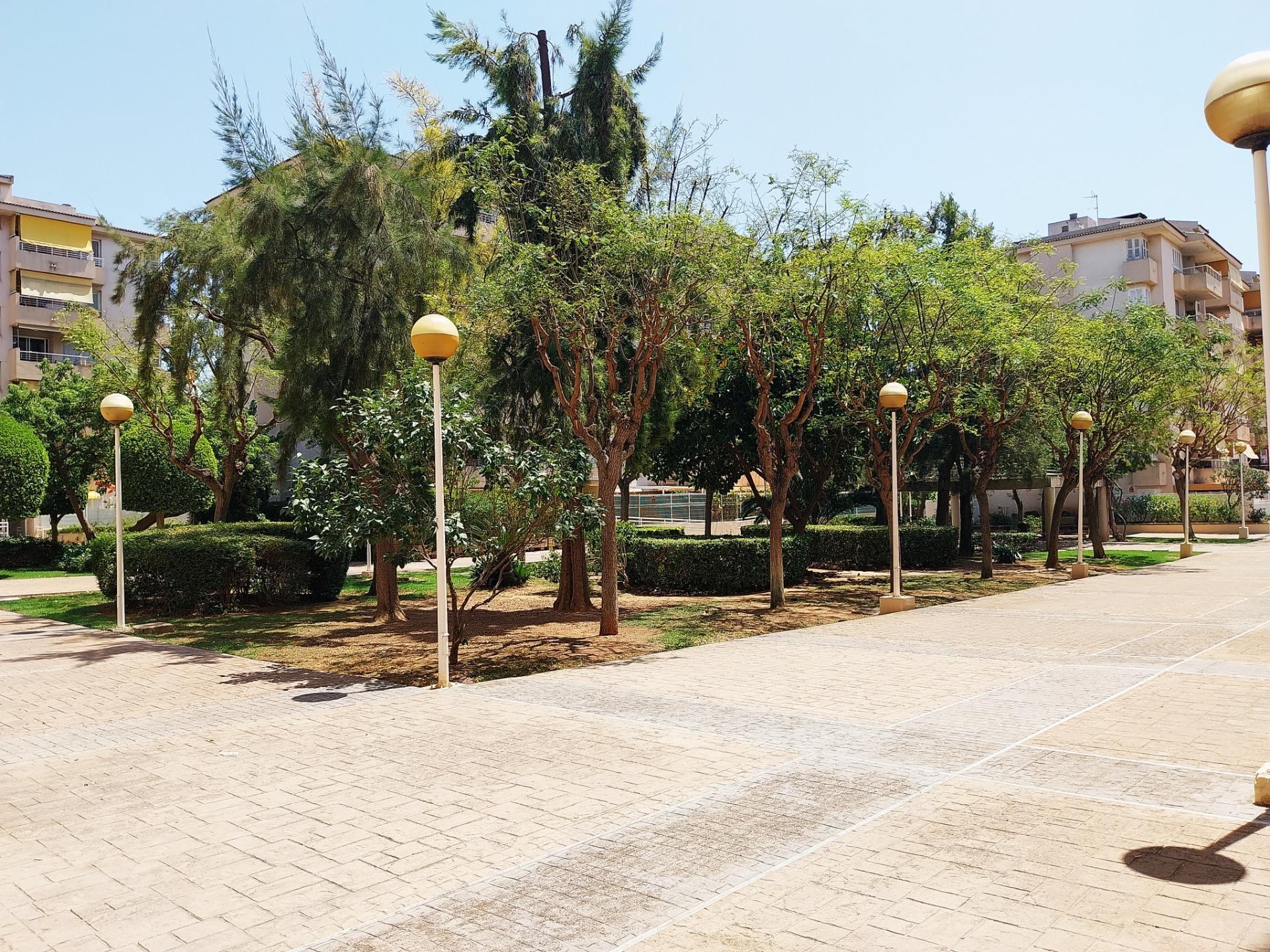 Pisos-Venta-Palma de Mallorca-1731763-Foto-14