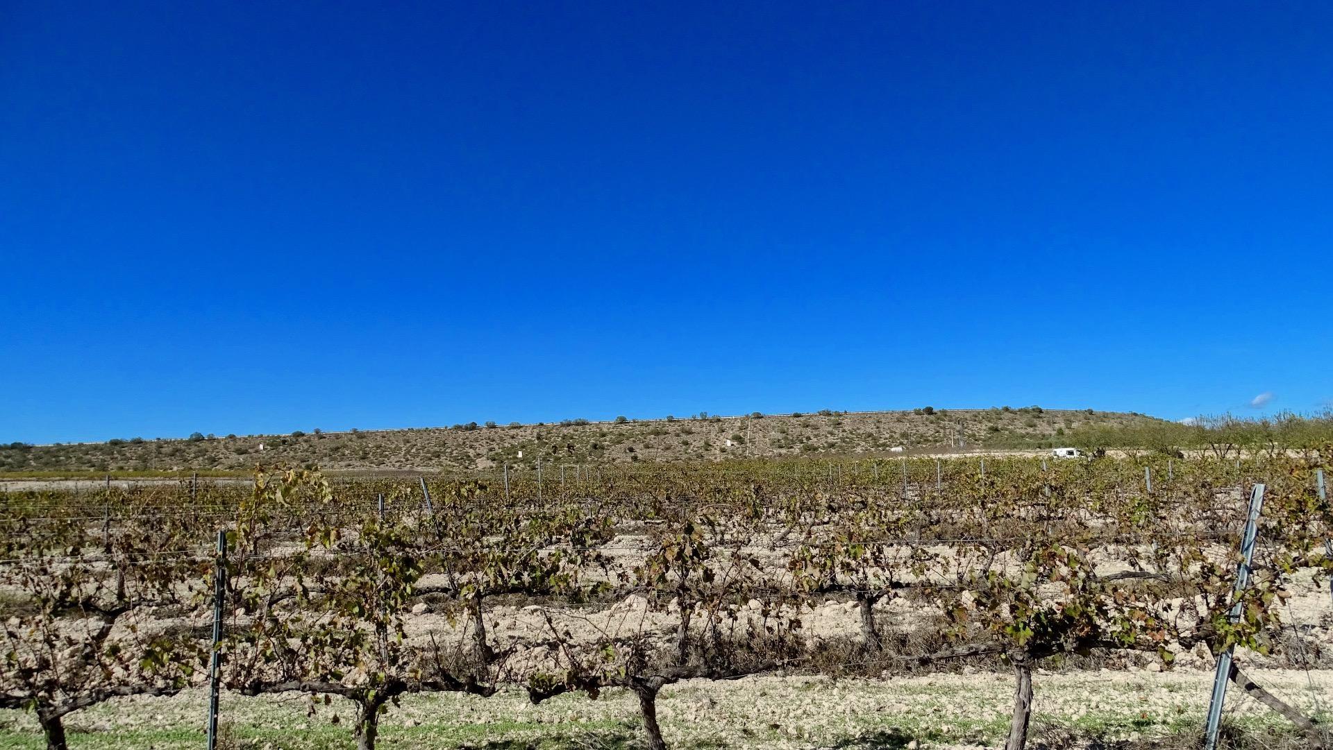 Fincas y solares-Venta-La Font de la Figuera-1975499-Foto-7