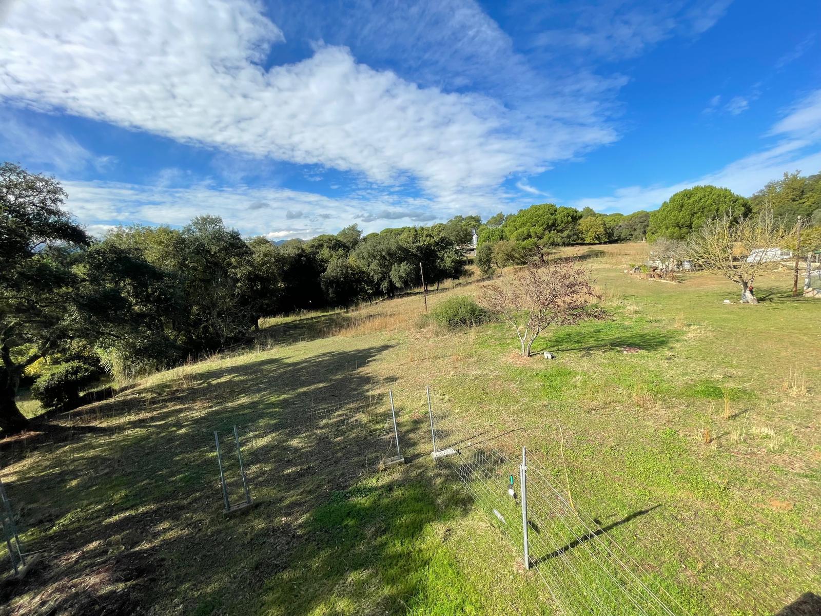 Fincas y solares-Venta-Sils-1975502-Foto-2