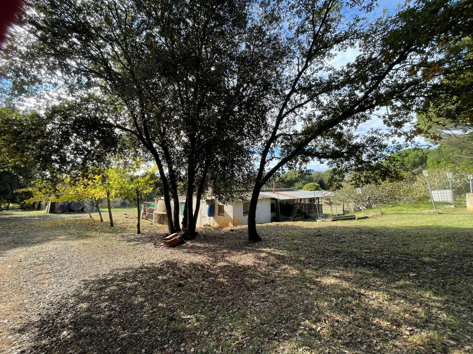 Fincas y solares-Venta-Sils-1975502-Foto-3