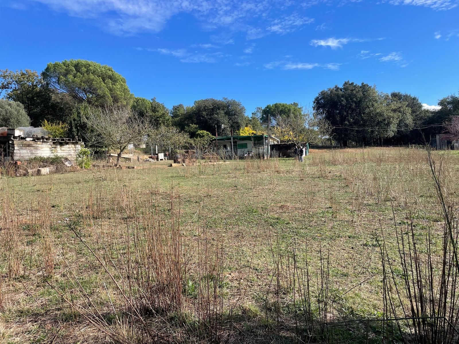 Fincas y solares-Venta-Sils-1975502-Foto-4