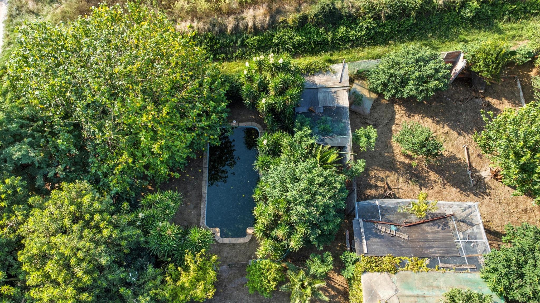 Manso Casanova - Manso y campos colindantes