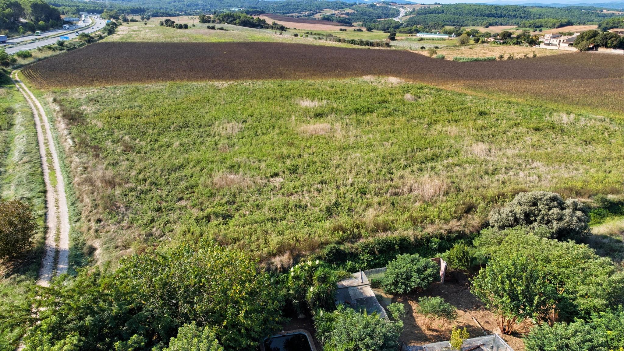 Manso Casanova - Manso y campos colindantes