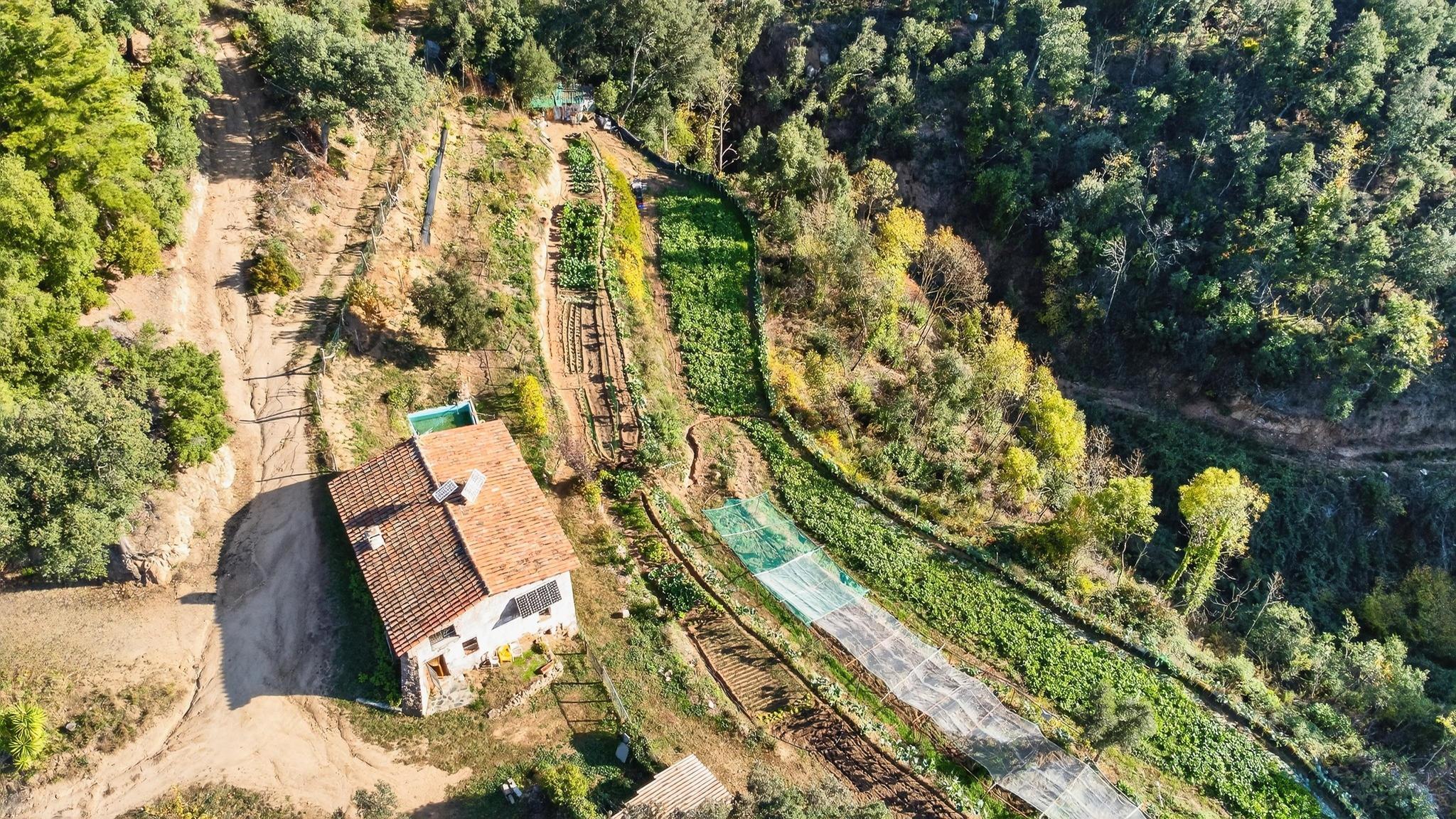 Pisos-Venta-ArbÃºcies-1941504-Foto-34