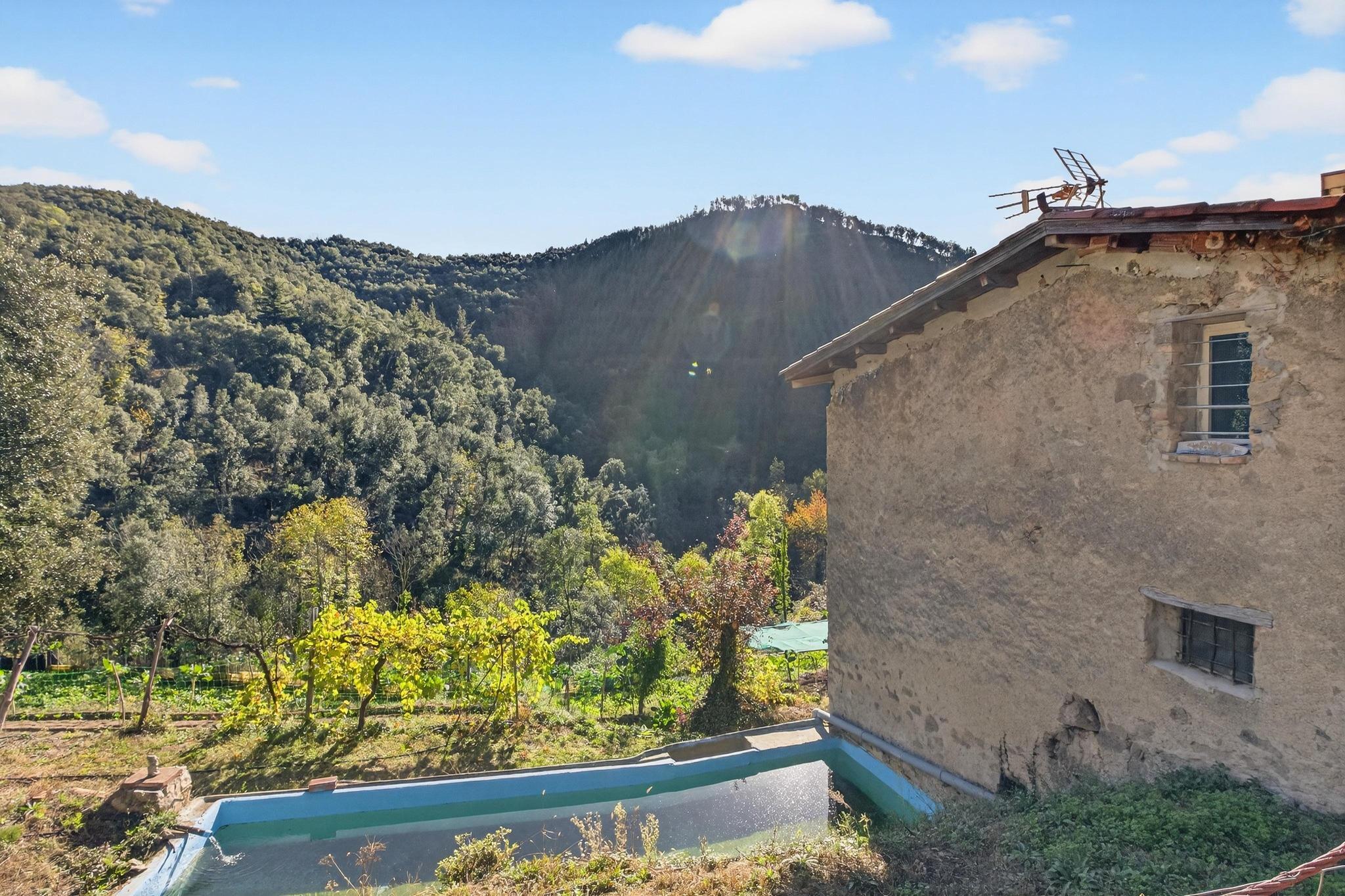 Pisos-Venta-ArbÃºcies-1941504-Foto-36