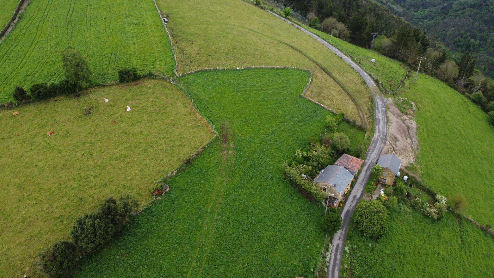 Casas o chalets-Venta-ValdÃ©s-1749313-Foto-33