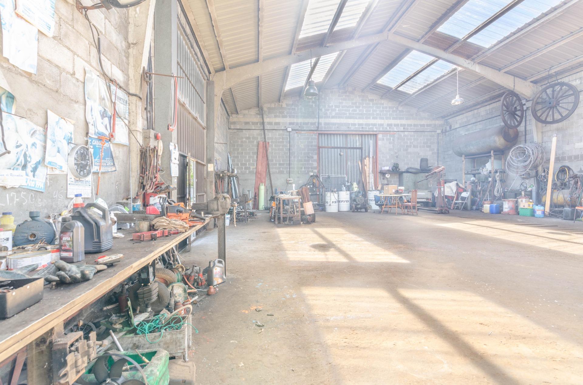 Naves-Venta-CarreÃ±o-1091367-Foto-6