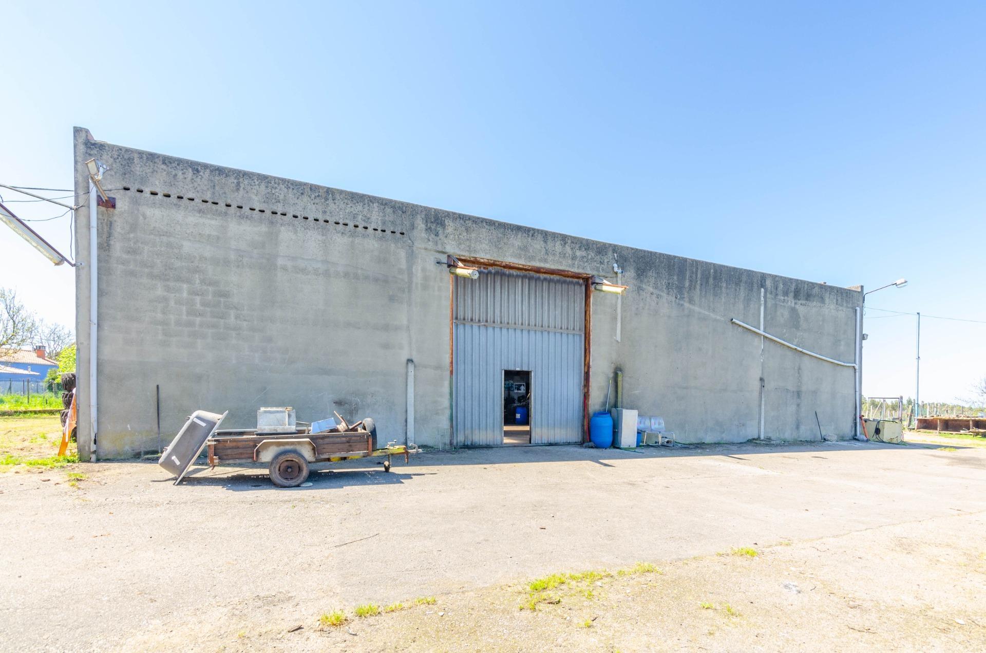 Naves-Venta-CarreÃ±o-1091367-Foto-9