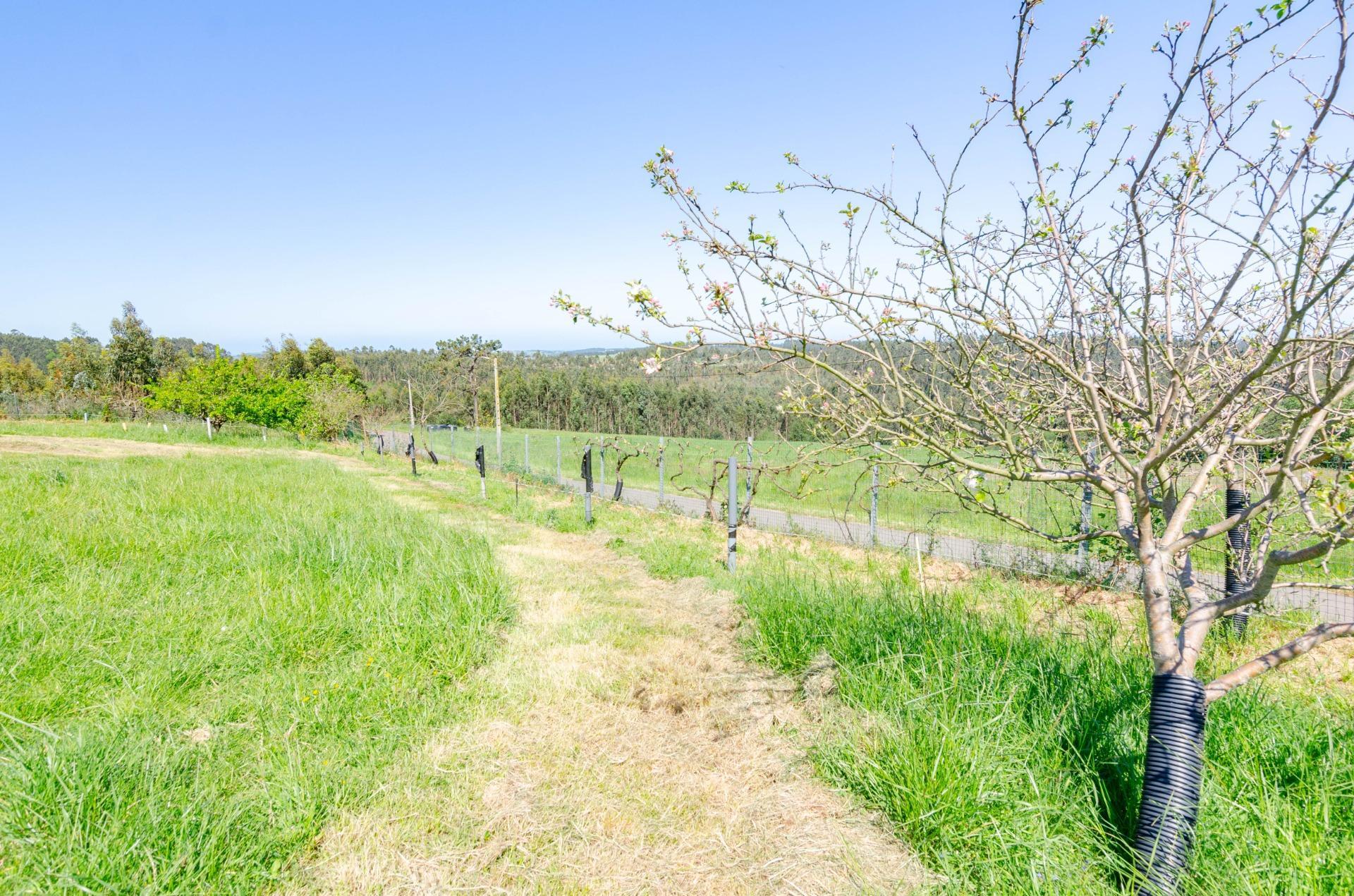 Naves-Venta-CarreÃ±o-1091367-Foto-12