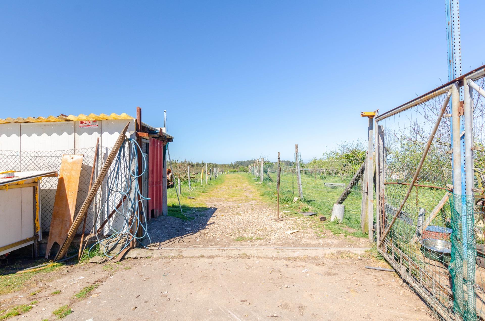 Naves-Venta-CarreÃ±o-1091367-Foto-21