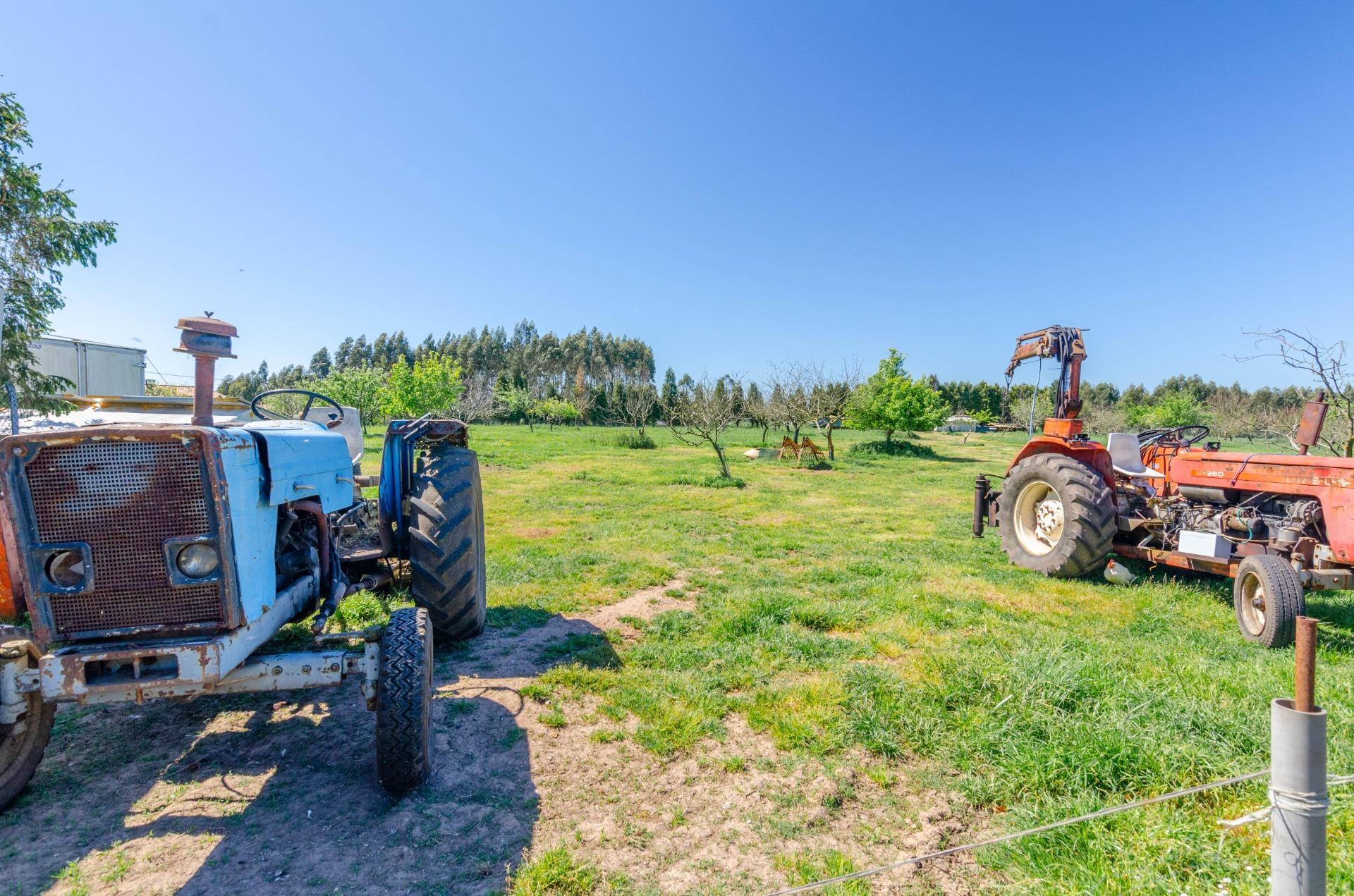 Naves-Venta-CarreÃ±o-1091367-Foto-26