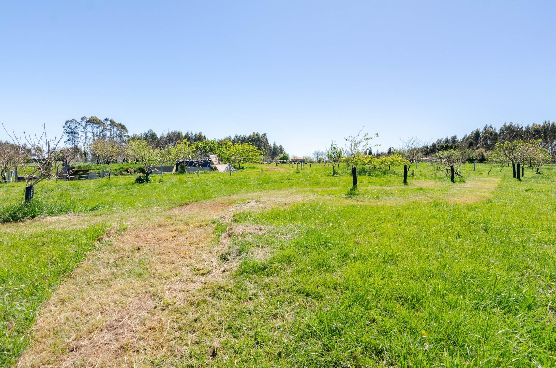 Naves-Venta-CarreÃ±o-1091367-Foto-29