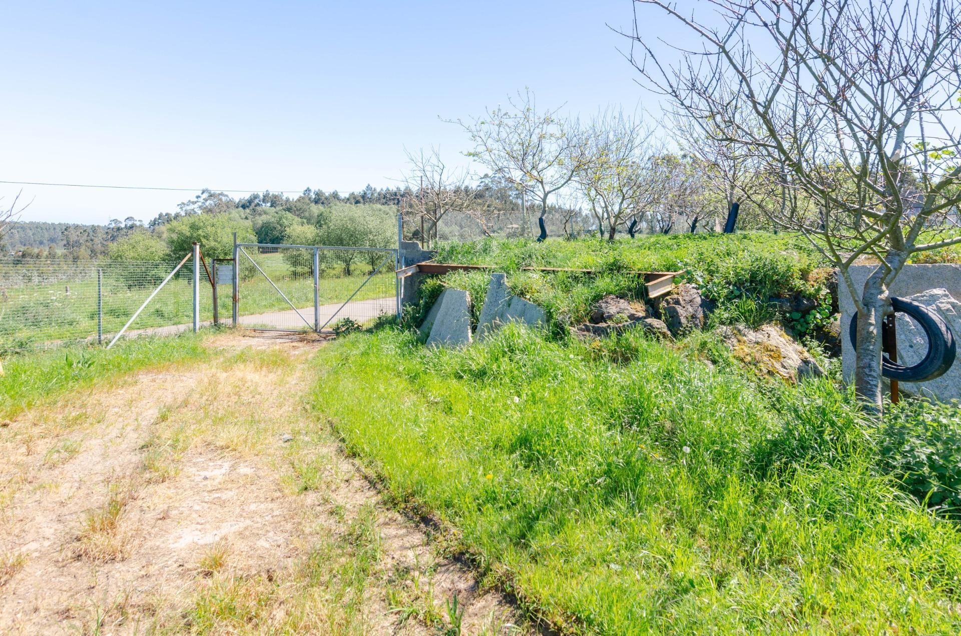 Naves-Venta-CarreÃ±o-1091367-Foto-30