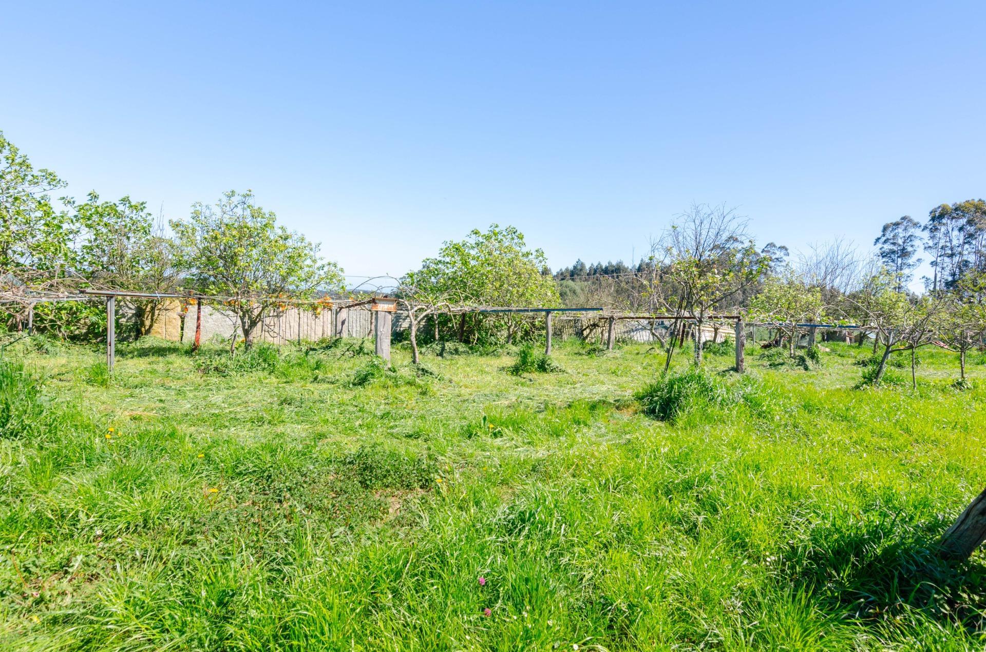 Naves-Venta-CarreÃ±o-1091367-Foto-28