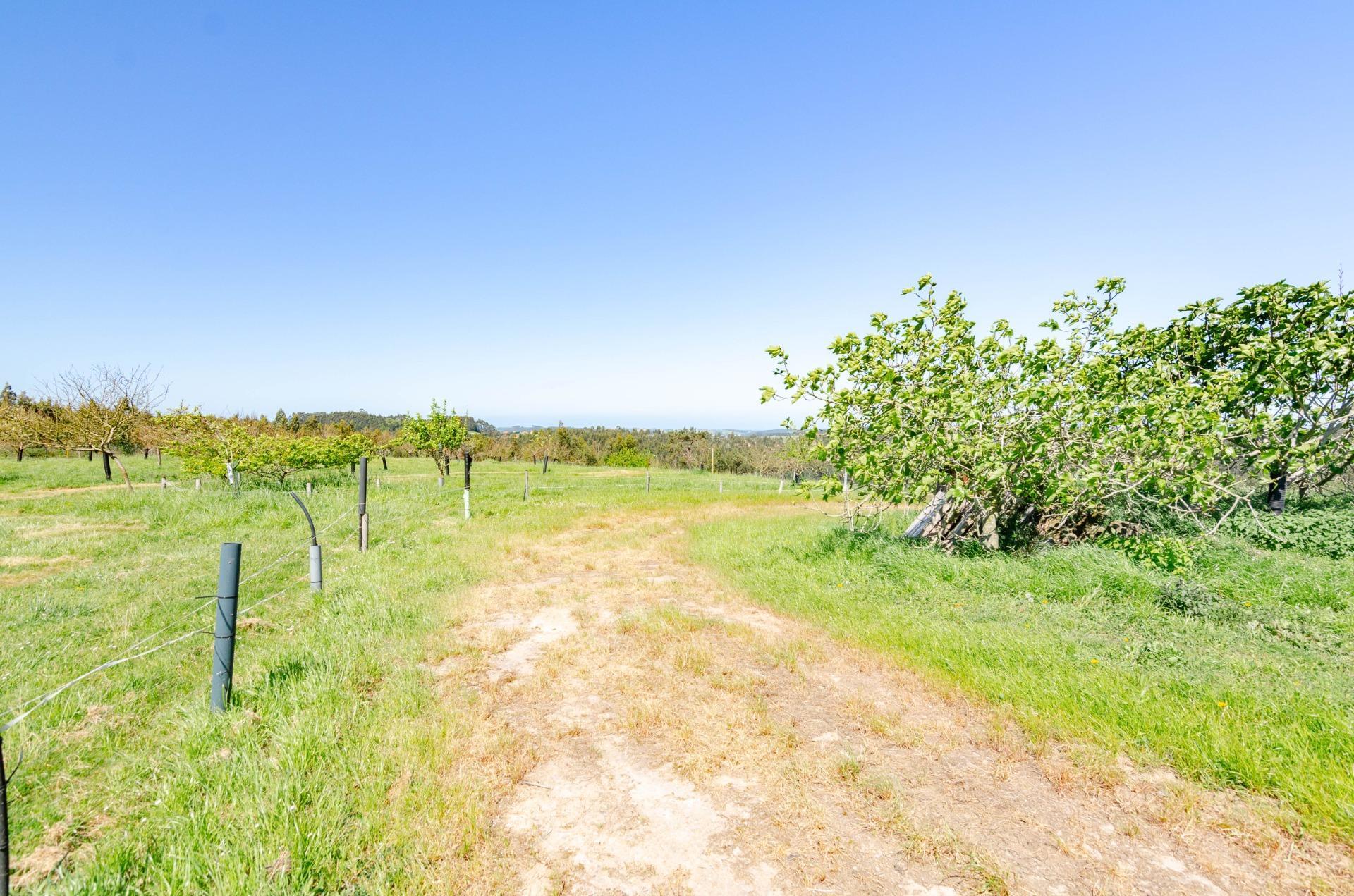 Naves-Venta-CarreÃ±o-1091367-Foto-31