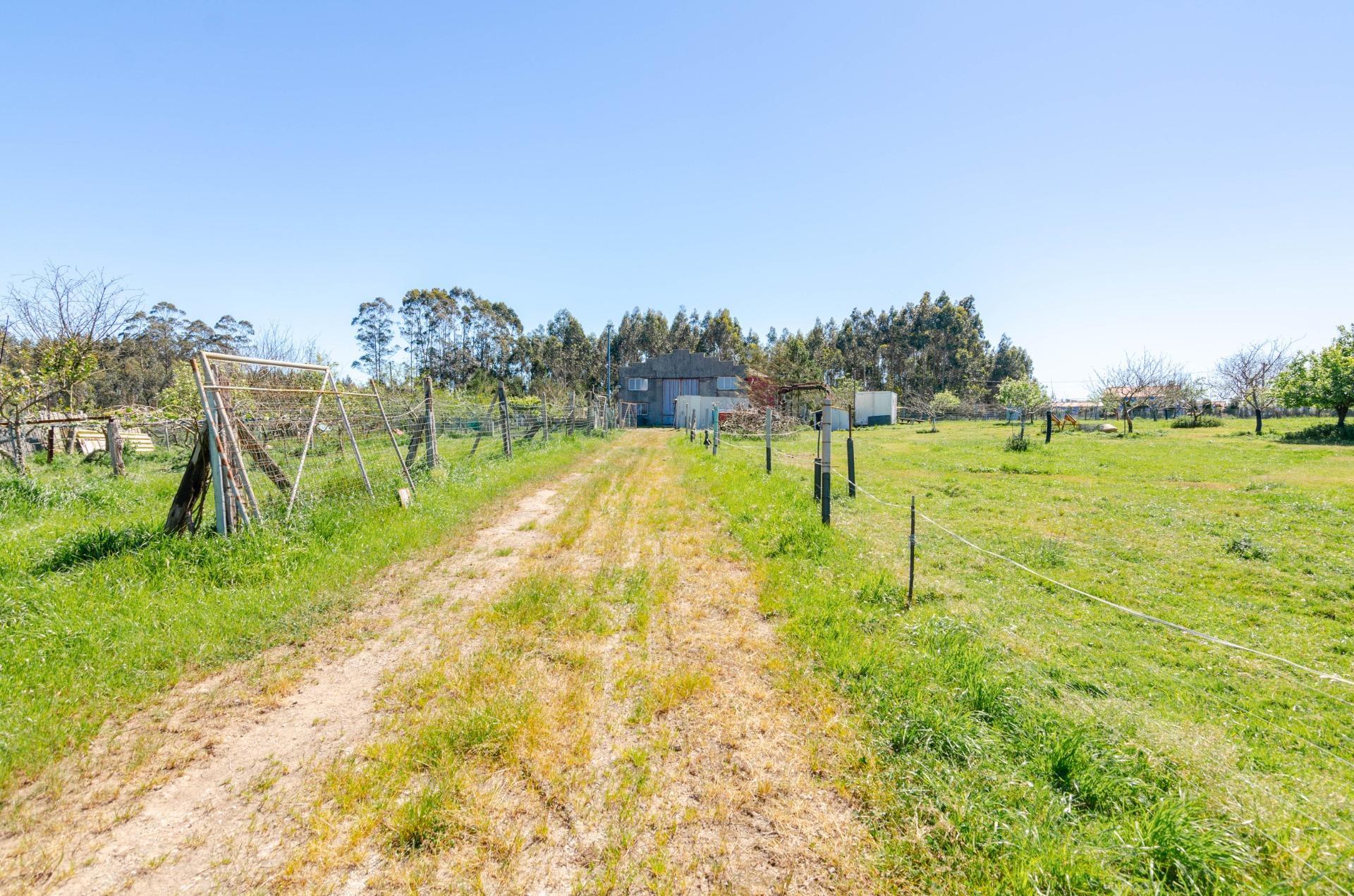 Naves-Venta-CarreÃ±o-1091367-Foto-35