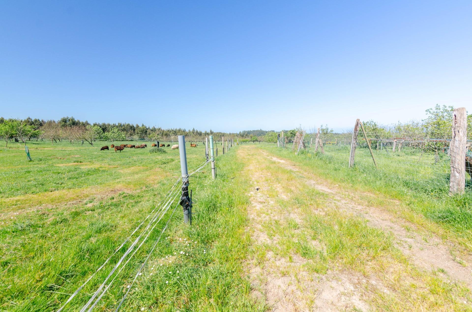 Naves-Venta-CarreÃ±o-1091367-Foto-32