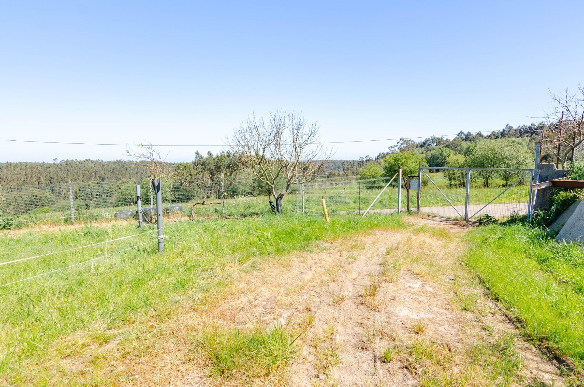 Naves-Venta-CarreÃ±o-1091367-Foto-33