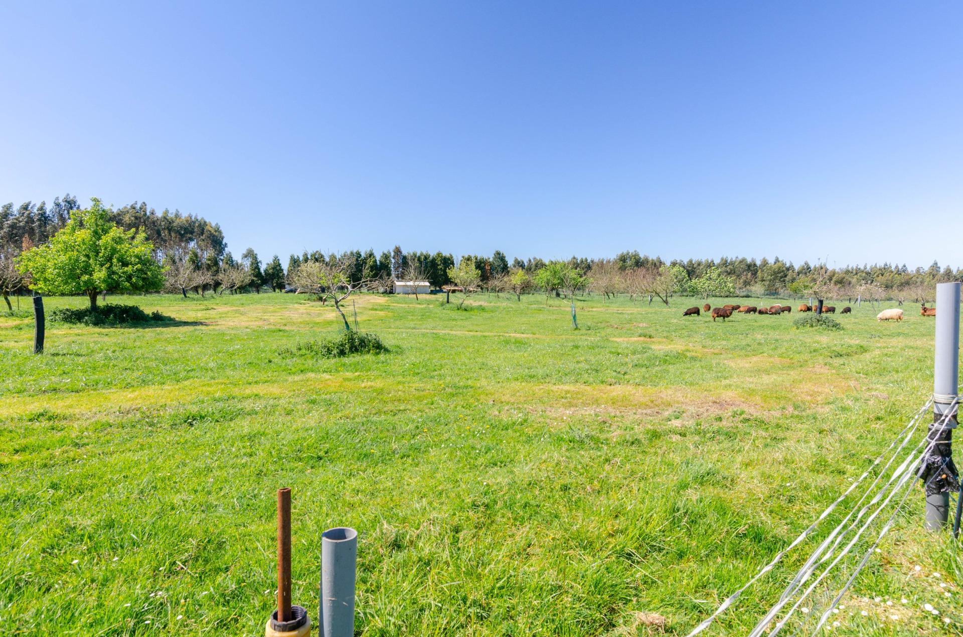 Naves-Venta-CarreÃ±o-1091367-Foto-36