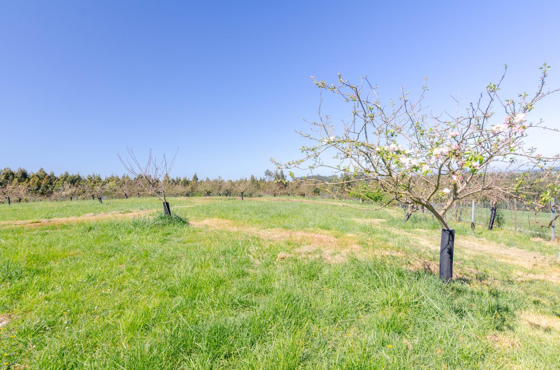 Naves-Venta-CarreÃ±o-1091367-Foto-34