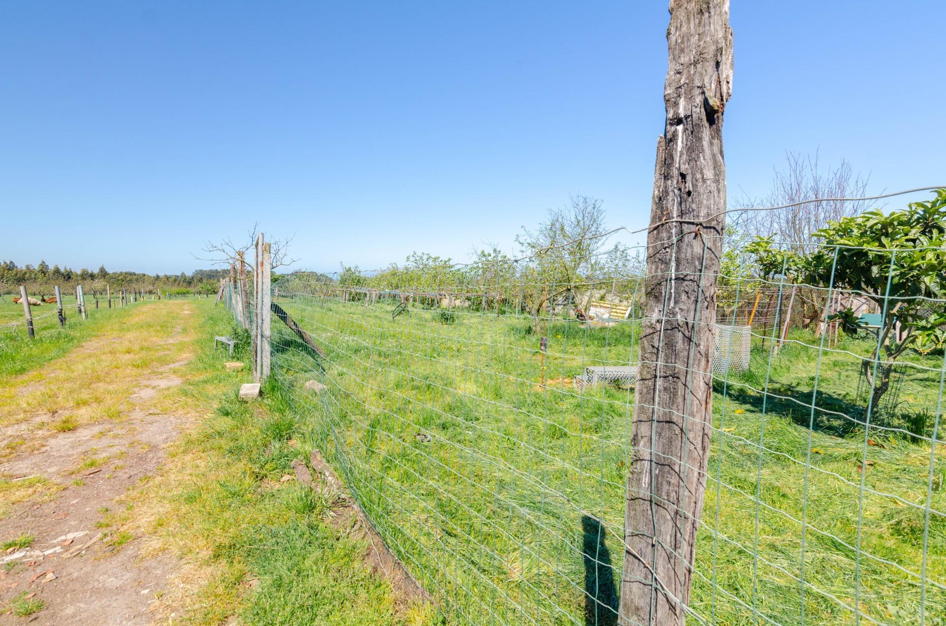 Naves-Venta-CarreÃ±o-1091367-Foto-38