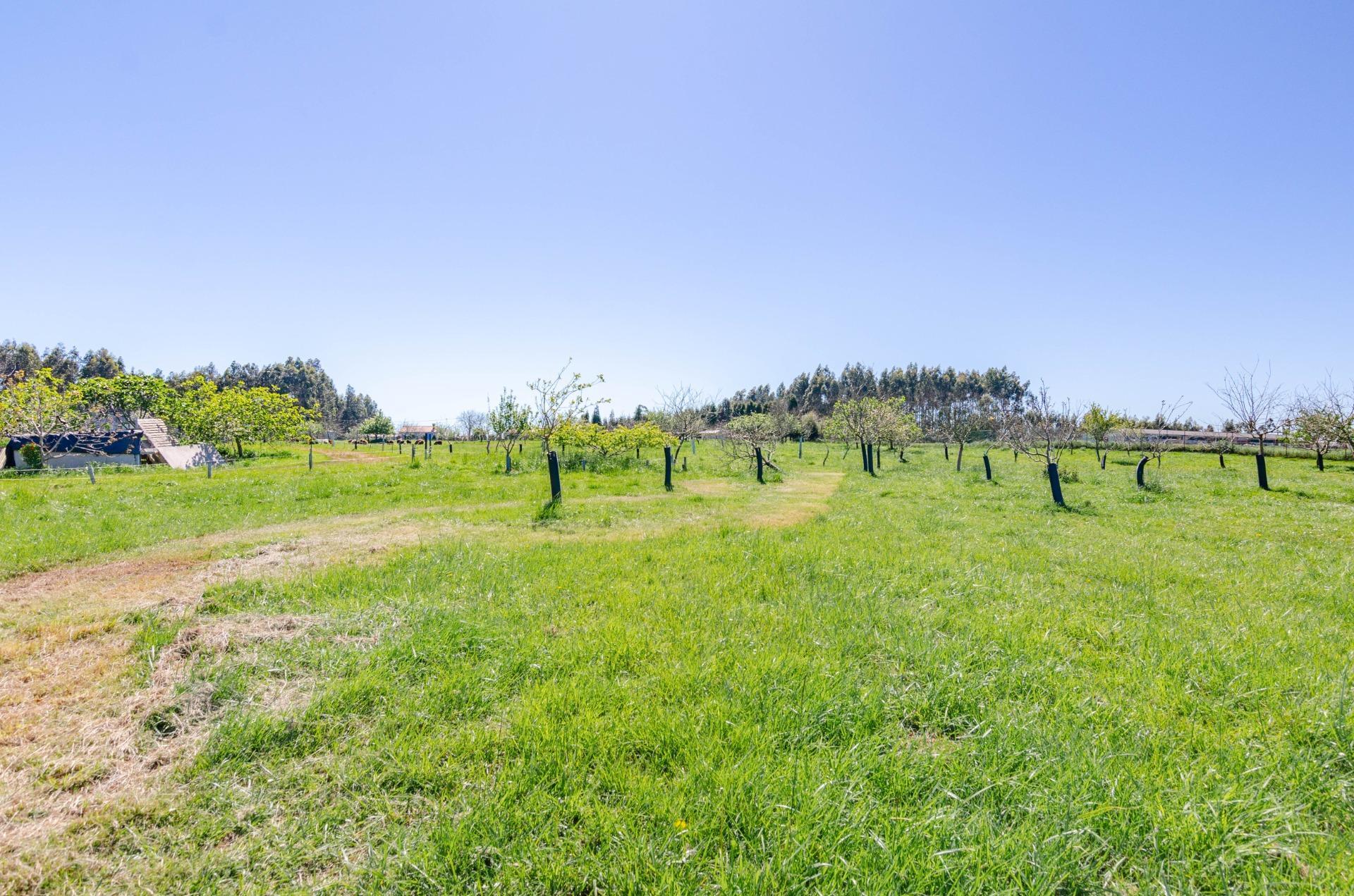 Naves-Venta-CarreÃ±o-1091367-Foto-37