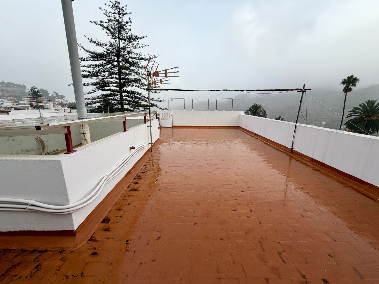 Pisos-Venta-Teror-1976049-Foto-31