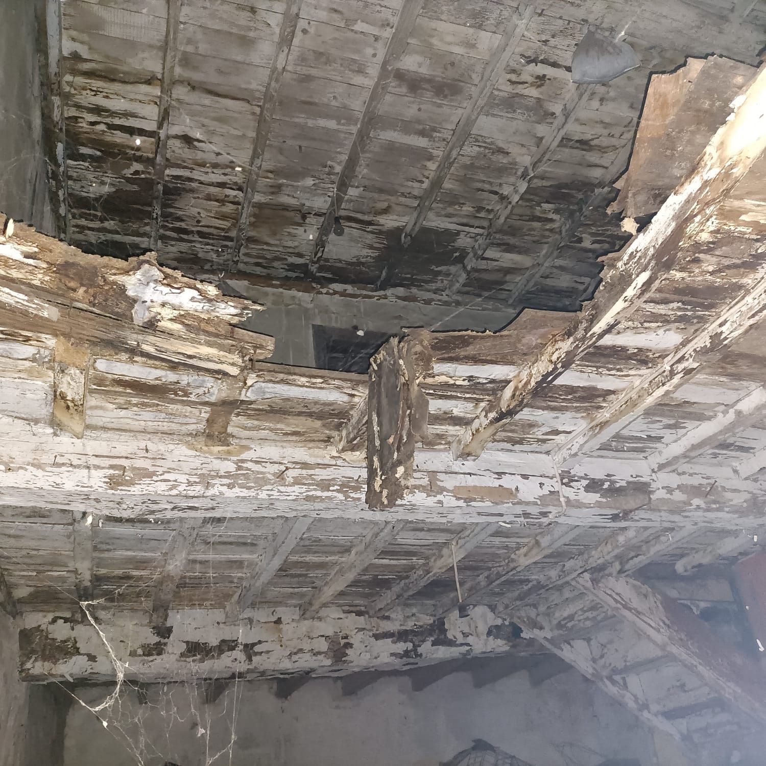 Casas o chalets-Venta-Siero-1976073-Foto-50