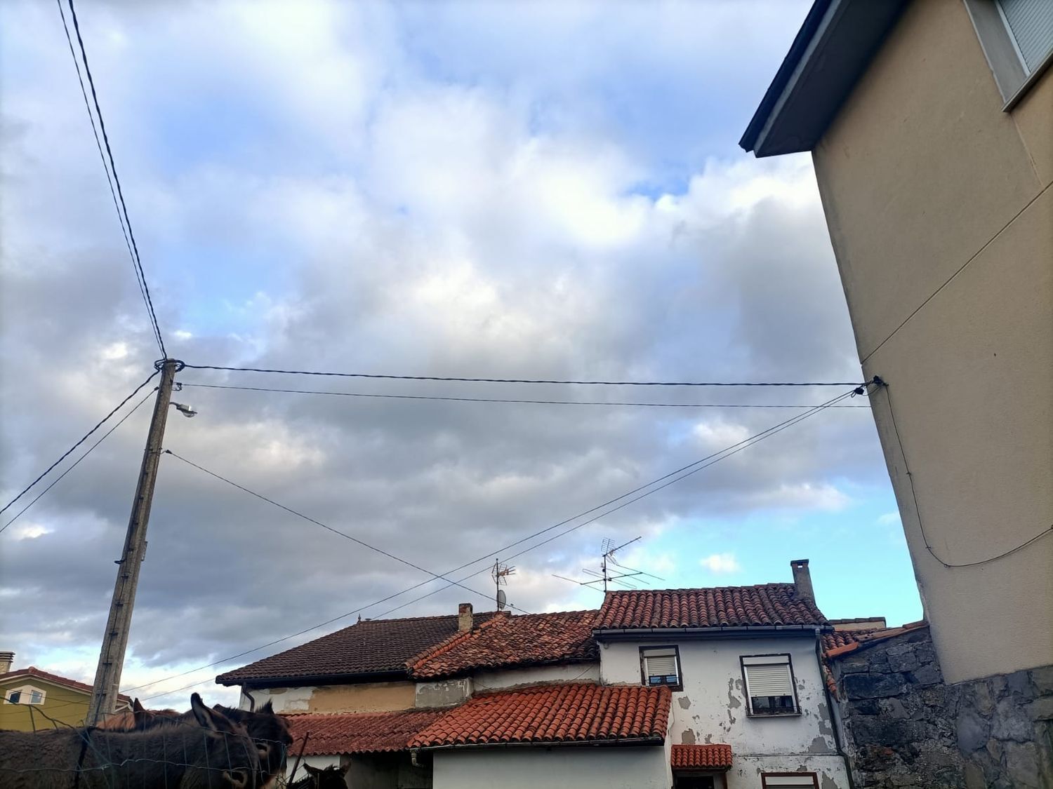 Casas o chalets-Venta-Siero-1976073-Foto-55