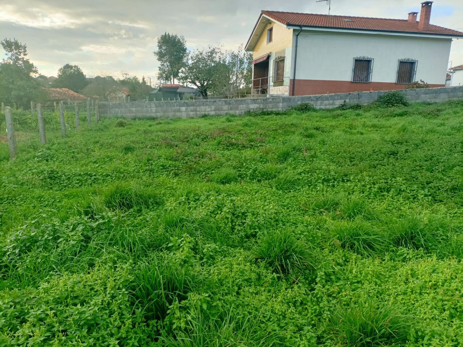 Casas o chalets-Venta-Siero-1976073-Foto-63